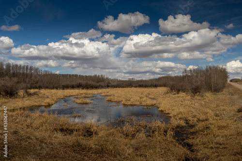 Innisfail Natural Area. Red Deer County, Alberta, Canada