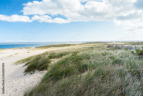 Grassy sand dunes along an unspoiled coast on a sunny autumn day. Cape Cod, MA, USA.