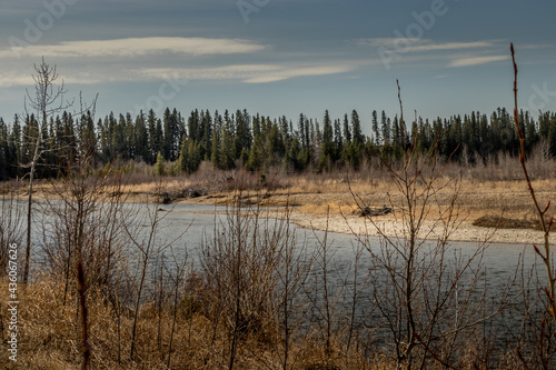 Channels from the Red Deer river cut through the park. Markerville NA  Red Deer County  Alberta  Canada