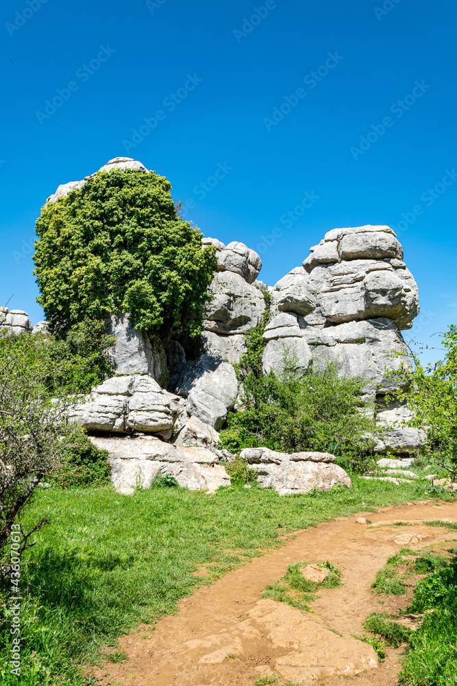 a eroded limestone rock feature in the nature reserve of Torcal which looks like a stone tree 