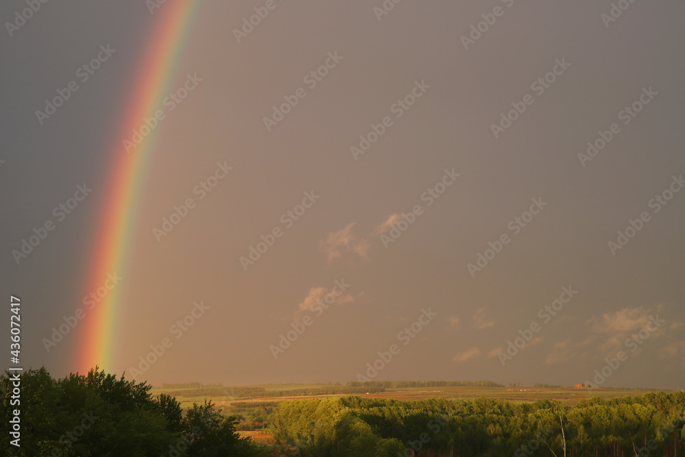 a bright rainbow in a gloomy sky after rain a bright rainbow in a gloomy sky after rain