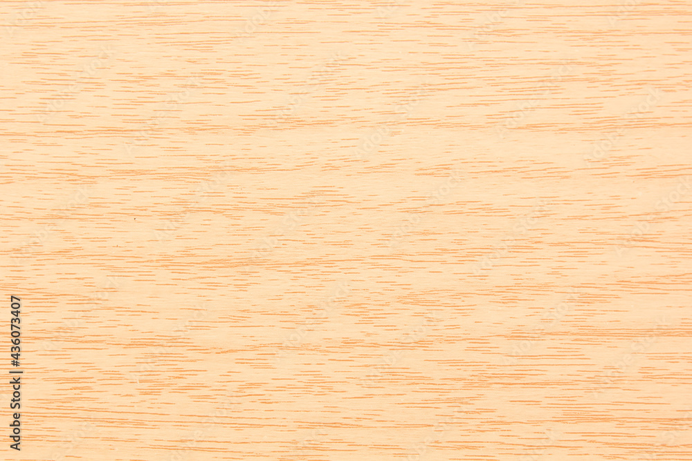 Wood texture of bark wood use as natural background and light wood Wood texture of bark wood use as natural background and light wood