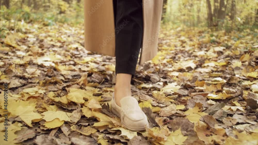 Legs of woman walking in autumn park. Black african american student tourist walk in forest trail. Legs of woman walking in autumn park. Black african american student tourist walk in forest trail.