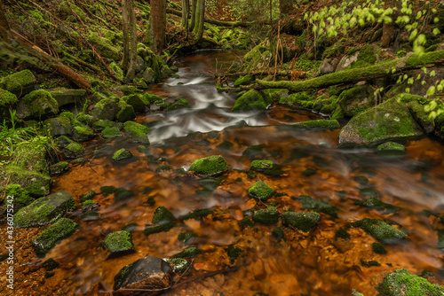Skrivan color creek in Krusne mountains in spring morning after rain
