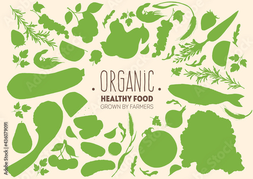 Healthy food vector illustration. Green flat. Vegetables, fruits, meat hand drawn. Organic food set. Good nutrition.