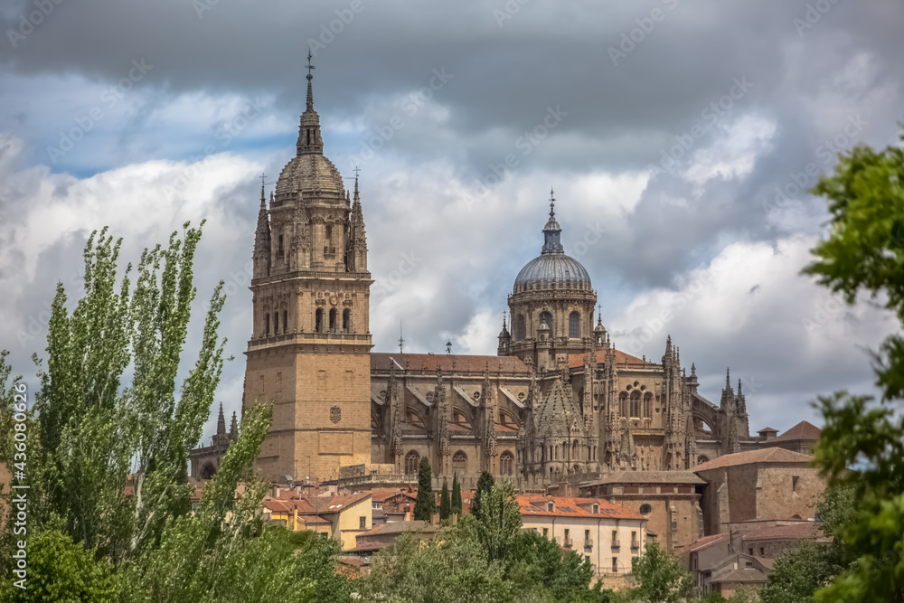 Majestic view at the gothic building at the Salamanca cathedral, towers and domes, surrounding vegetation