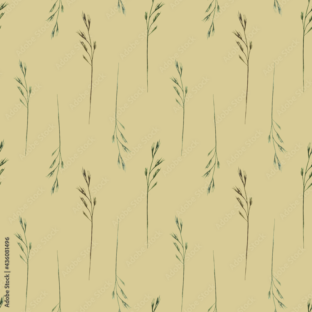 Obraz premium Watercolor seamless pattern with wild field herbs, wild grasses on a beige background. Botanical illustration for fabrics, posters, aromatherapy, clothing