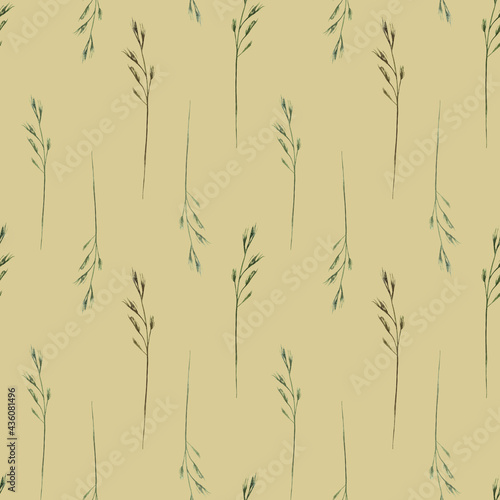 Watercolor seamless pattern with wild field herbs  wild grasses on a beige background. Botanical illustration for fabrics  posters  aromatherapy  clothing