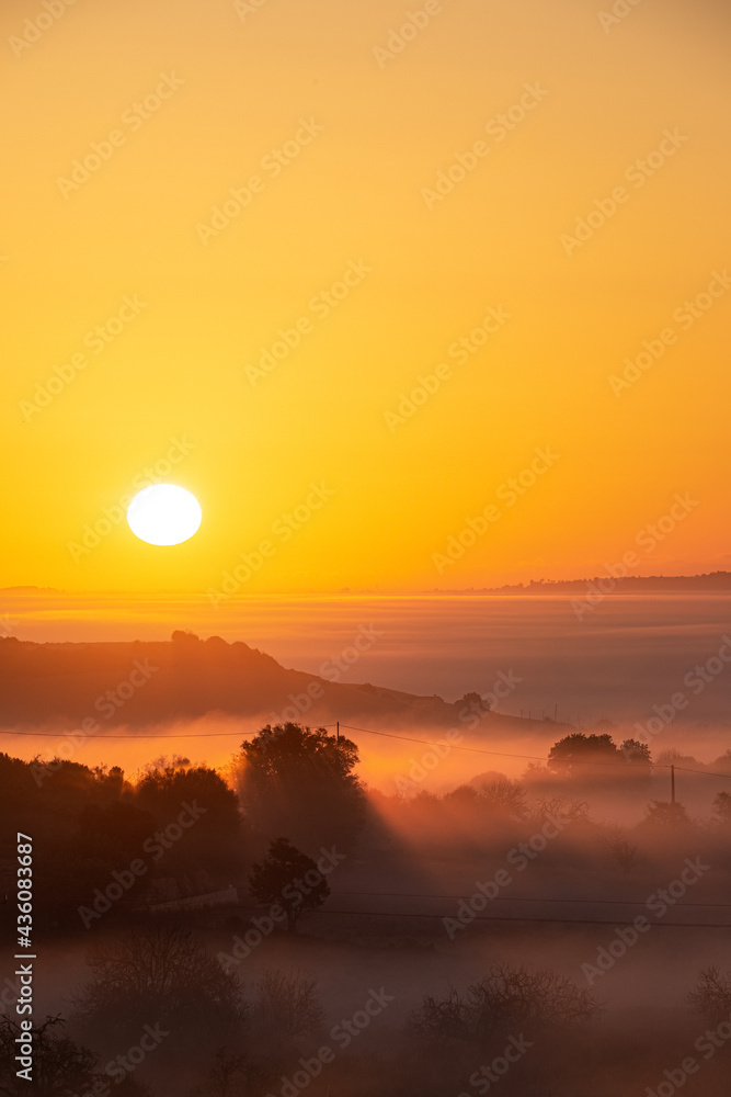 orange sunrise between the fog