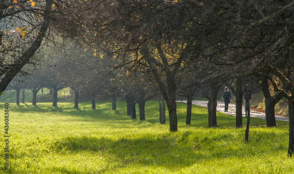 Naklejka premium herbstimpression im freilichtmuseum bad-sobernheim