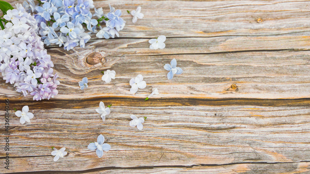 Fresh branches of blooming lilac on wooden background. Image with selective focus Fresh branches of blooming lilac on wooden background. Image with selective focus