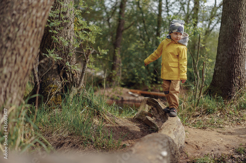 little caucasian 4 years old boy walking on the log over the stream in forest. Image with selective focus