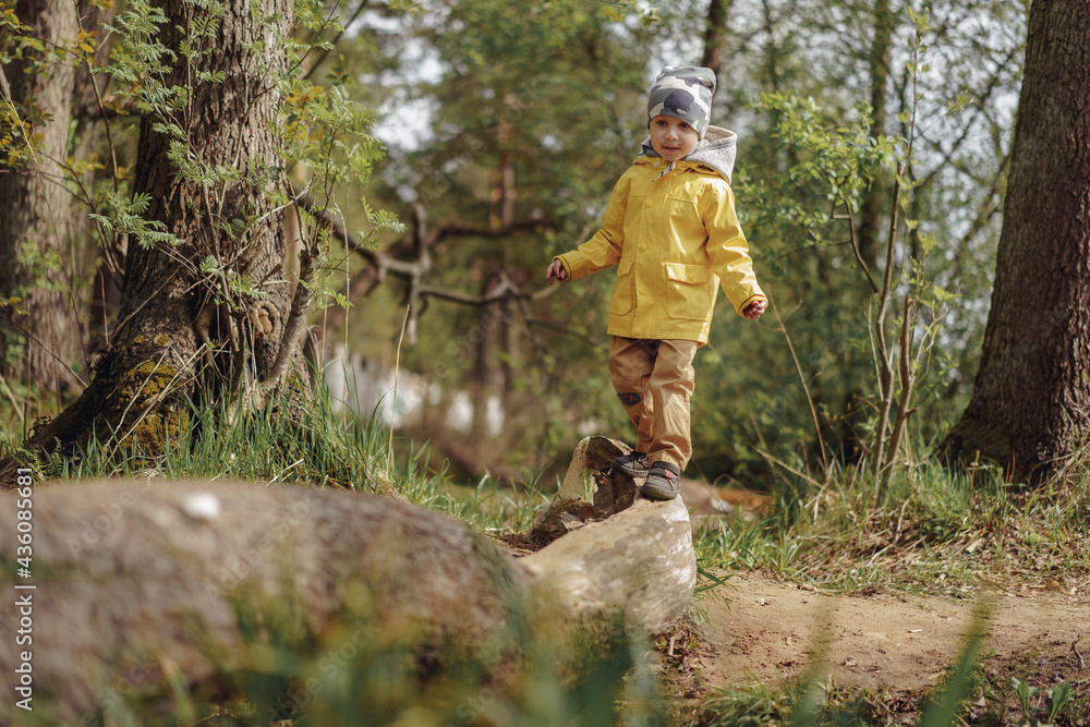 Fototapeta premium little caucasian 4 years old boy walking on the log over the stream in forest. Image with selective focus