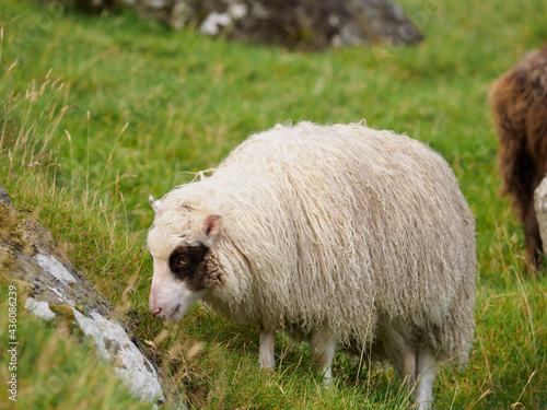 Faroe Island photo