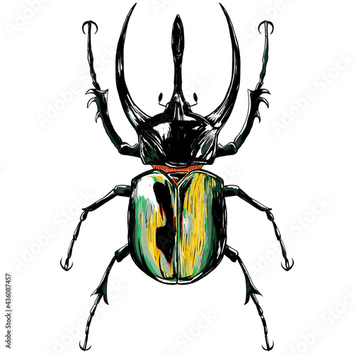 Fotografia Illustration of green horn beetle on white background