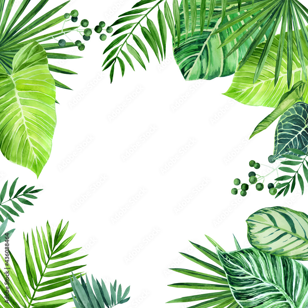 Watercolor Frame of tropical leaves. Philodendron leaves, calathea, palm leaves, scindapsus leaves; . Watercolor illustration isolated on a white background.