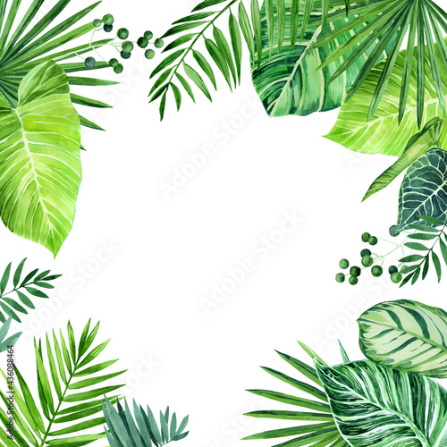 Watercolor Frame of tropical leaves. Philodendron leaves  calathea  palm leaves  scindapsus leaves  . Watercolor illustration isolated on a white background.