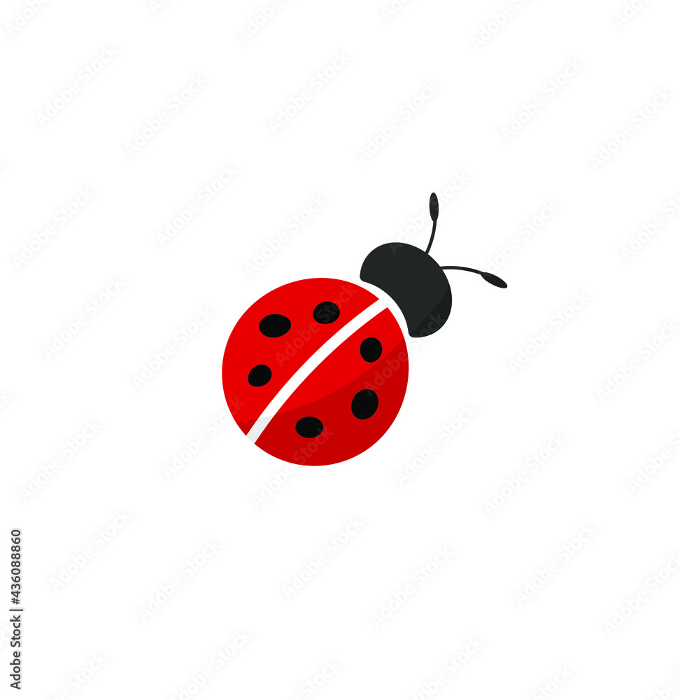 Fototapeta premium the ladybug logo on an isolated background.vector illustration