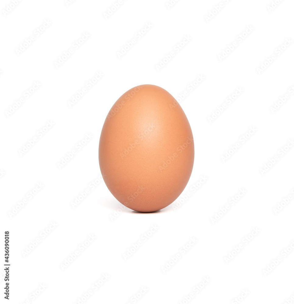 Chicken egg isolated on white background with clipping path. Chicken egg isolated on white background with clipping path.