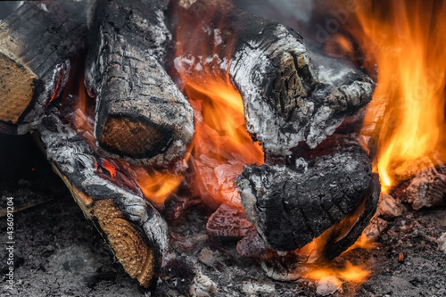 amazing photo of the wood burning because of the fire in Jacque Cartier national park, Quebec, Canada