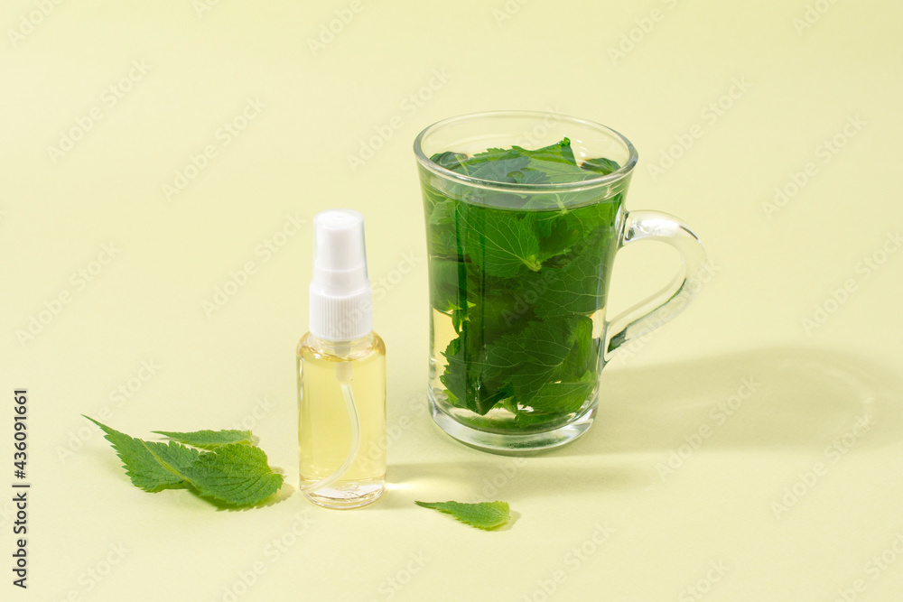 Nettle (Urtica Dioica) infusion for face and hair toner. Home made beauty product. DIY nettle cosmetics recipe. Nettle (Urtica Dioica) infusion for face and hair toner. Home made beauty product. DIY nettle cosmetics recipe.