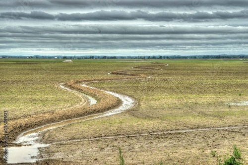 Serpentine rice dike in Arkansas
