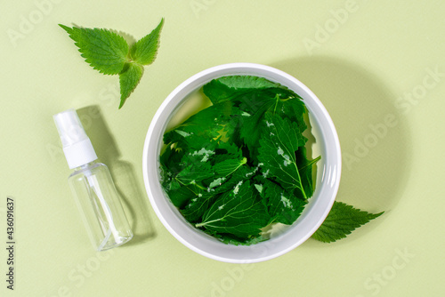 Nettle (Urtica Dioica) infusion for face and hair toner. Home made beauty product. DIY nettle cosmetics recipe. photo