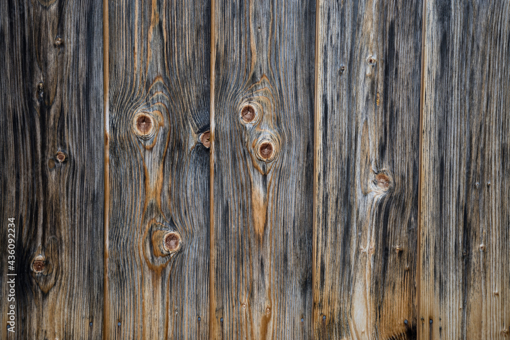 Naklejka premium astbrett