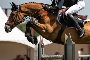 Horse Jumping, Equestrian Sports, Show Jumping event themed photograph