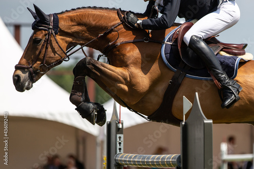 Obraz na płótnie Horse Jumping, Equestrian Sports, Show Jumping event themed photograph