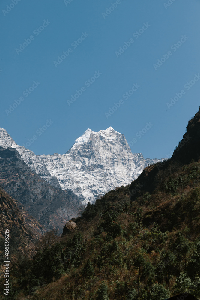Montanas de Himalayas con nieve entre bosque y rio
