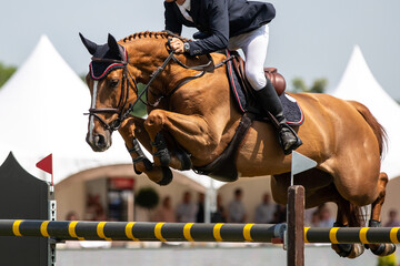 Crédence de cuisine Sport Cheval saut obstacles équitation compétition  © Marcin Kilarski/Wirestock