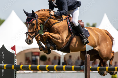 Fototapeta Horse Jumping, Equestrian Sports, Show Jumping themed photo.