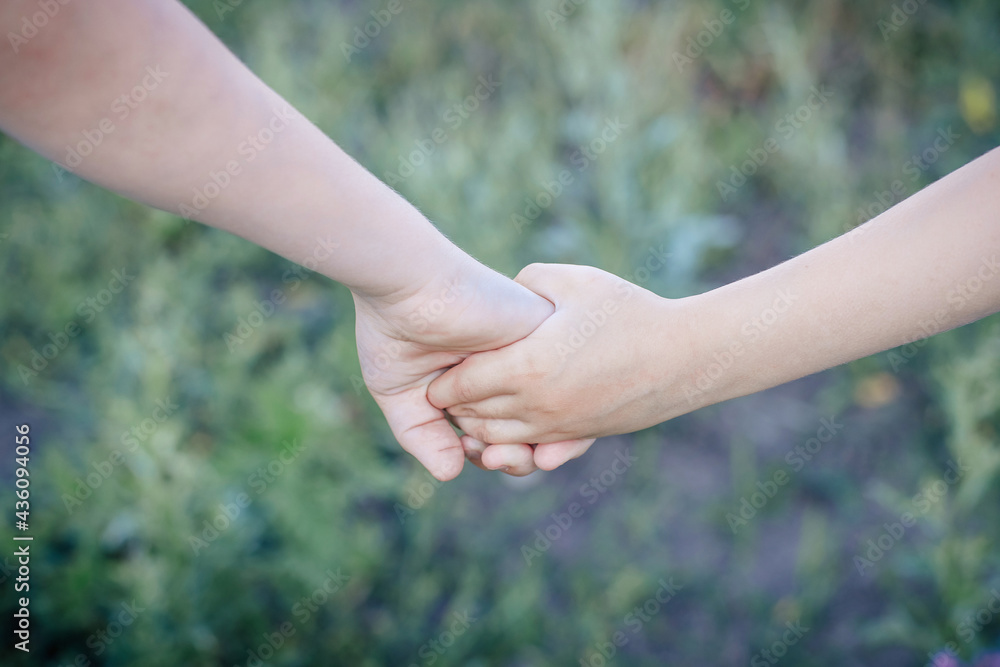 the closed hands of a boy and a girl against the background of a chamomile field the closed hands of a boy and a girl against the background of a chamomile field