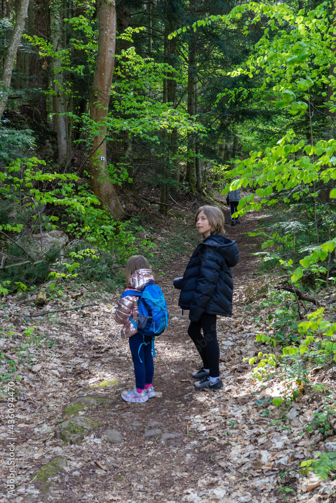 Little girl walking in the forest with her brother. Little girl walking in the forest with her brother.