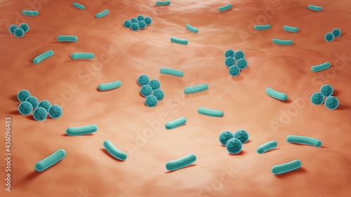 Skin microbiome, Bacteria on the skin close-up photo