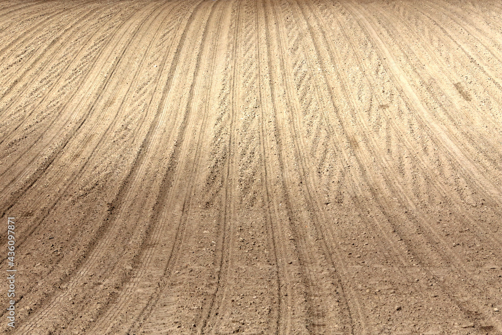 Landscape agricultural land in slope recently plowed for the crop Landscape agricultural land in slope recently plowed for the crop