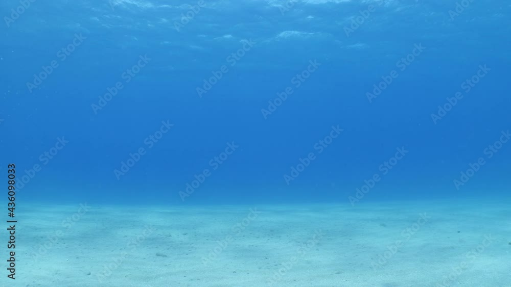 fish scenery underwater sun beams sun rays underwater mediterranean sea sun shine relaxing ocean scenery fish scenery underwater sun beams sun rays underwater mediterranean sea sun shine relaxing ocean scenery