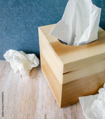 A handmade wooden tissue box and tissues bunched up
 photo