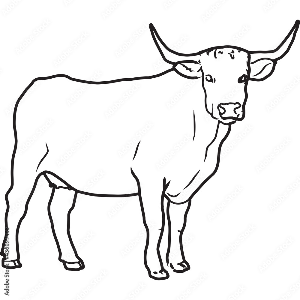 Hand Sketched, Hand Drawn American White Park Vector Hand Sketched, Hand Drawn American White Park Vector