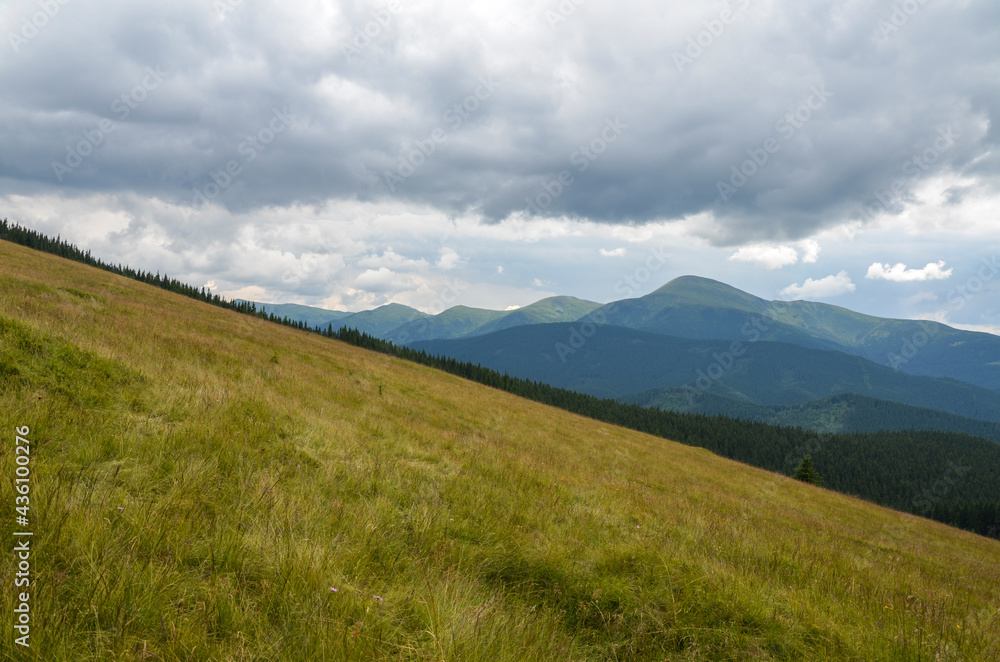 Beautiful nature landscape. Meadow covered with grass near the forest and mountain range. Wonderful scenery of Carpathian Mountains