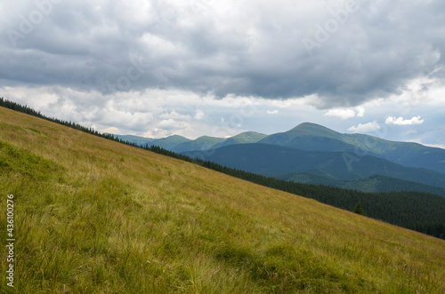Beautiful nature landscape. Meadow covered with grass near the forest and mountain range. Wonderful scenery of Carpathian Mountains
