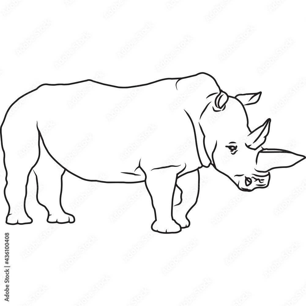 Fototapeta premium Hand Sketched, Hand Drawn Rhinoceros Vector