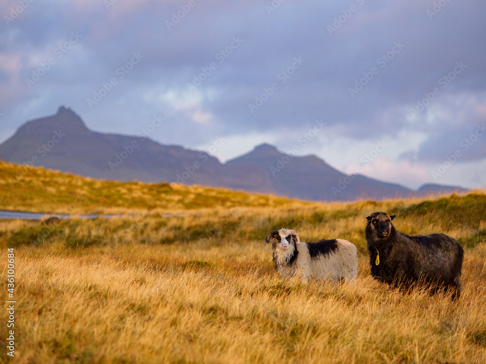 Faroe Island