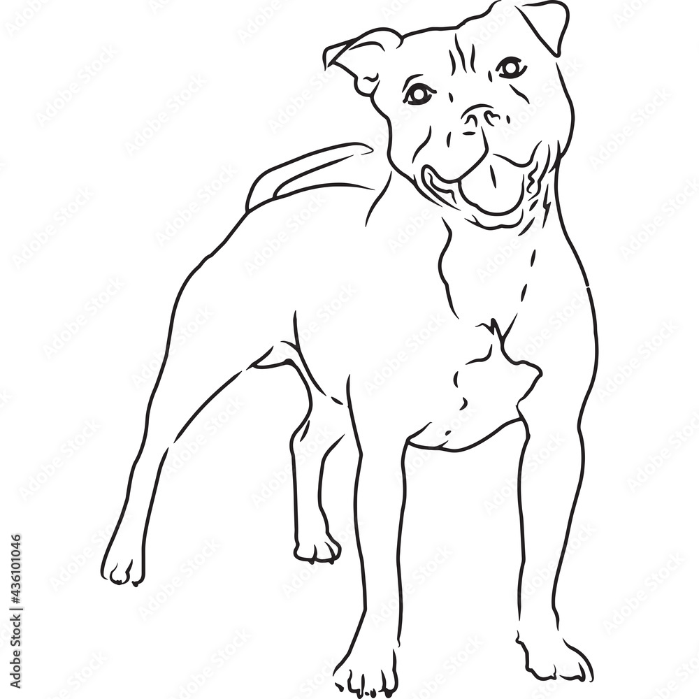 American Pitbull Terrier Dog, Hand Sketched Vector Drawing American Pitbull Terrier Dog, Hand Sketched Vector Drawing