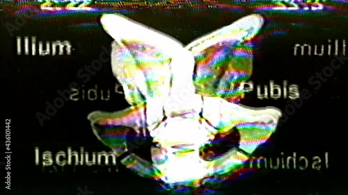 Analog Video Art Multicolored Abstract Shapes Signal Distortion