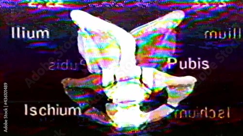 Analog Video Art Multicolored Abstract Shapes Signal Distortion