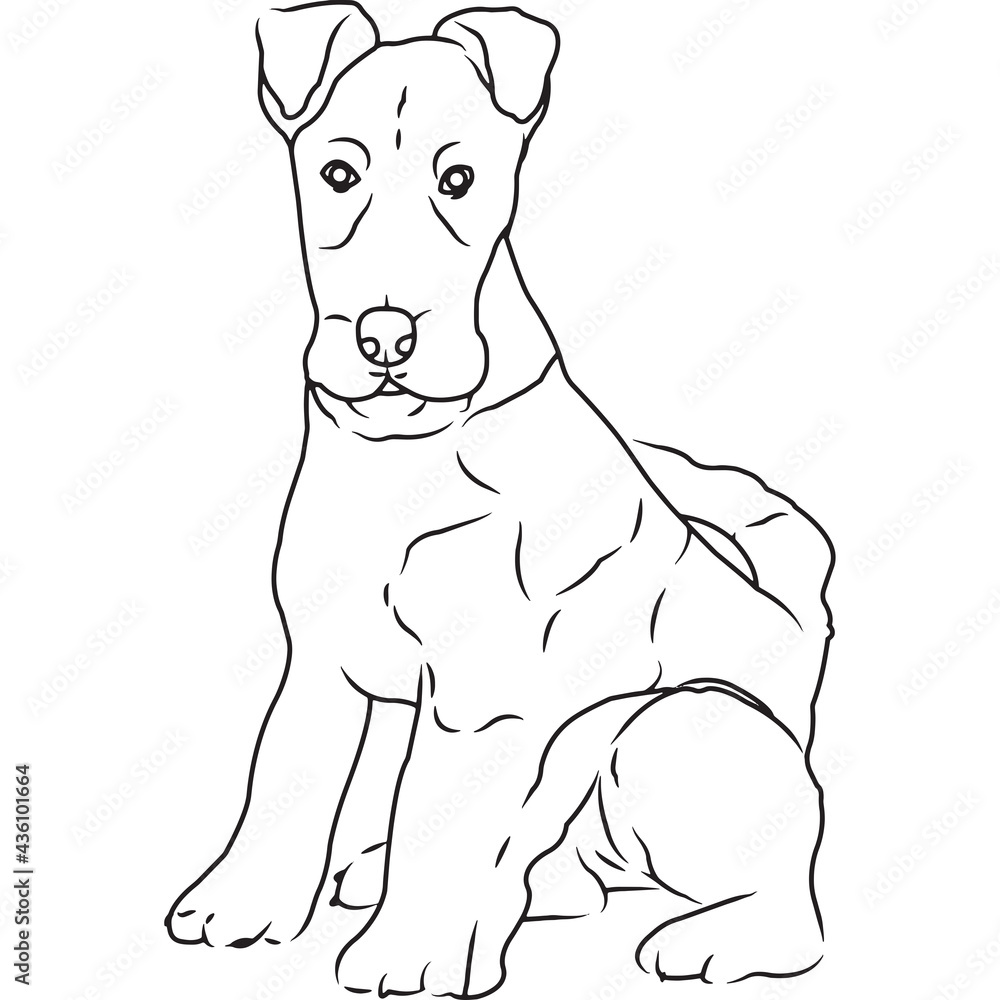 Fox Terrier Dog, Hand Sketched Vector Drawing