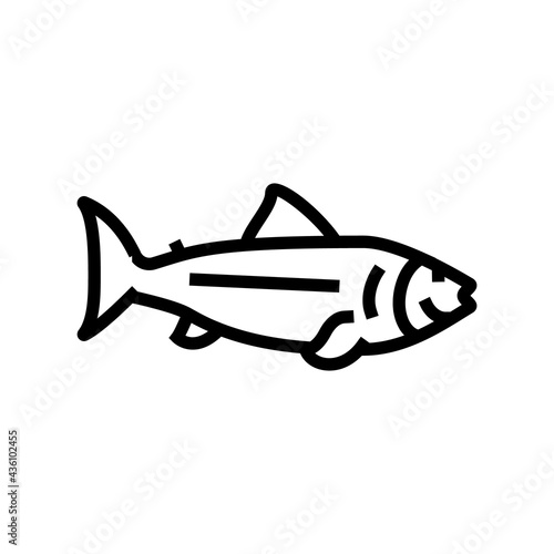 fish ocean line icon vector. fish ocean sign. isolated contour symbol black illustration