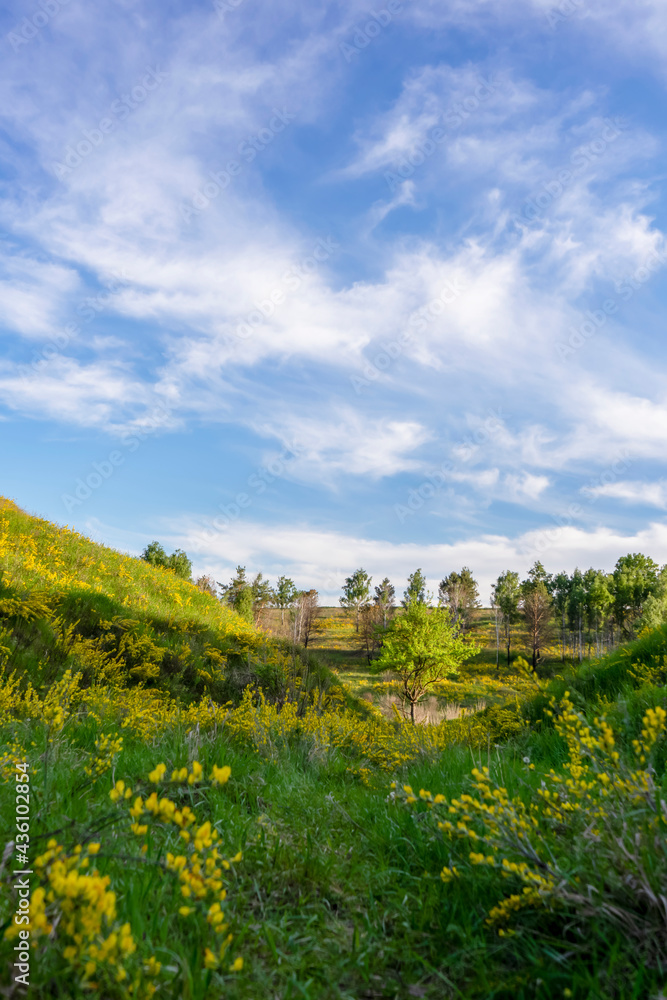 Green slopes in spring near Vasylkiv, Ukraine